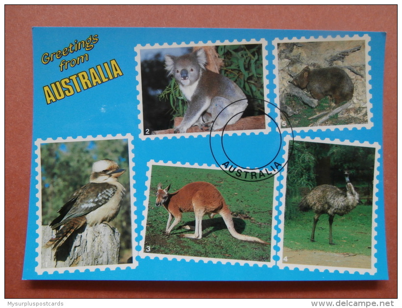 33918 PC: AUSTRALIA: Greetings From AUSTRALIA - Kookaburra / Koala / Kangaroo / Emu / Wombat. - Other & Unclassified