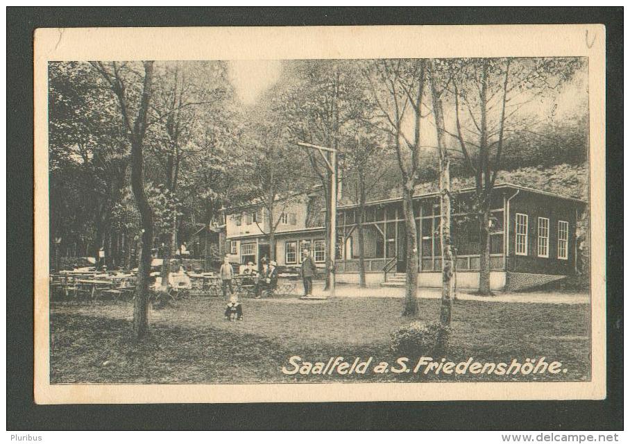 SAALFELD  HOTEL FRIEDENSHÖHE  , OLD POSTCARD, 0 - Saalfeld