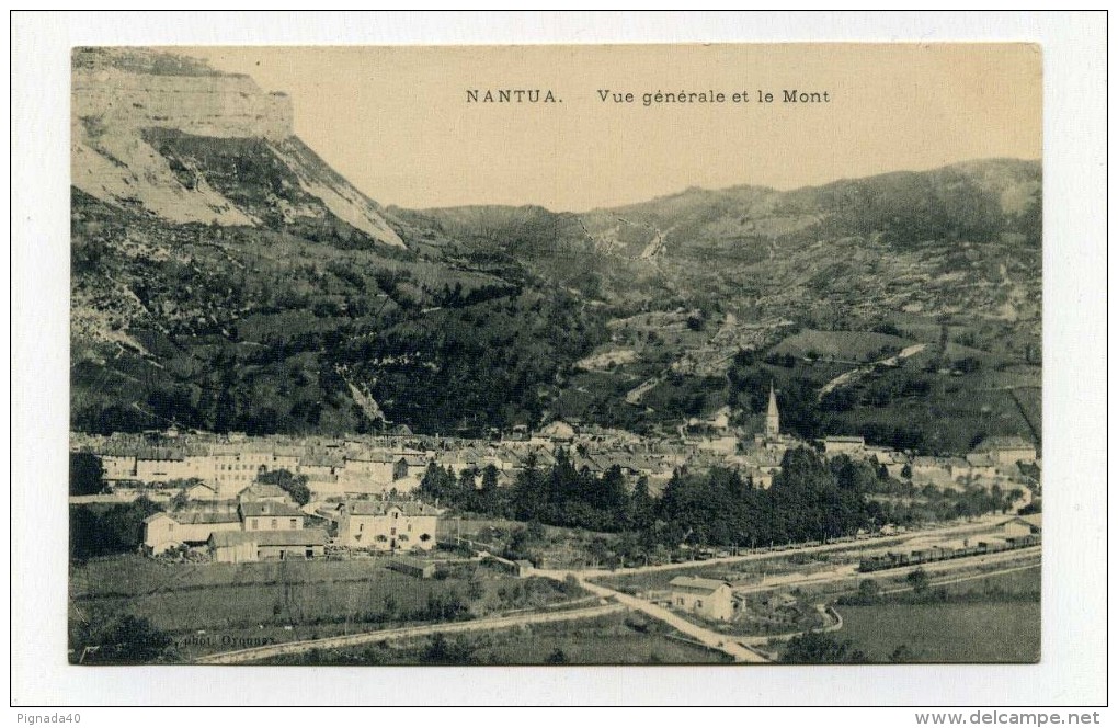 CP , 01 , NANTUA , Vue Générale Et Le Mont - Nantua