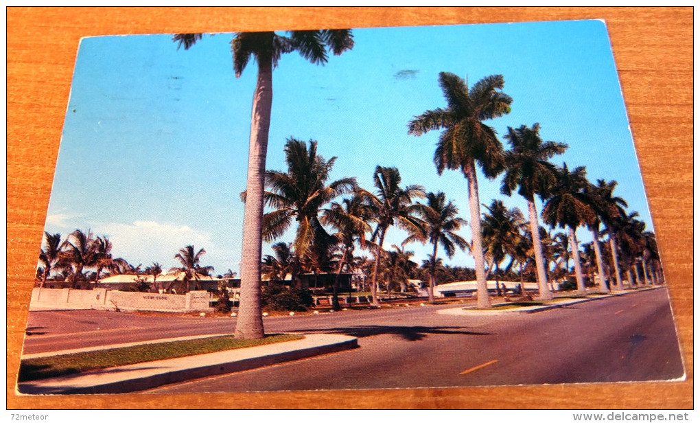 East Las Olas Boulevard Island Homes Palm Trees Ft. Lauderdale FL 1950s Scenic Postcard - Fort Lauderdale