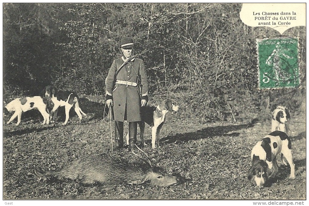 44    LE GAVRE    LES  CHASSES  DANS LA FORET  DU  GAVRE   AVANT LA CUREE - Le Gavre