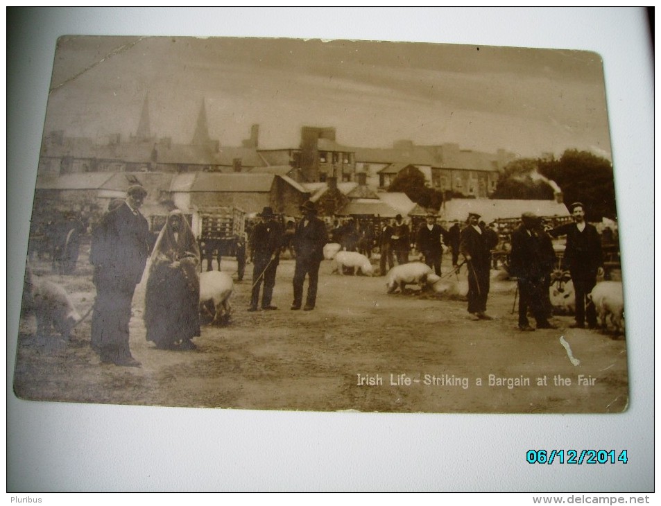 IRELAND  IRISH LIFE STRIKING A BARGAIN AT THE FAIR  , OLD POSTCARD , 0 - Other & Unclassified