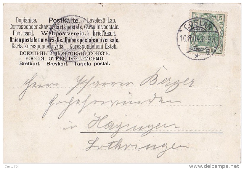 Allemagne - Gruss Von Gustav Adolph's Feste - Militaria - Schlacht Bei Lützen / Postmarked Goslar 1904 - Lützen