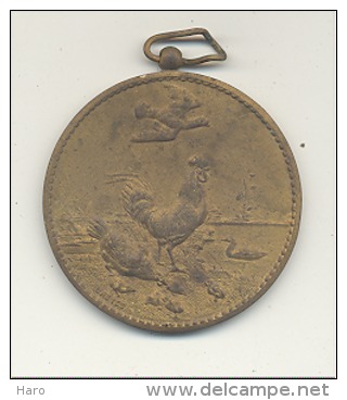 Médaille - UNION AVICOLE De THIMISTER Et Environs - Poules, Pigeons,... - Andere & Zonder Classificatie