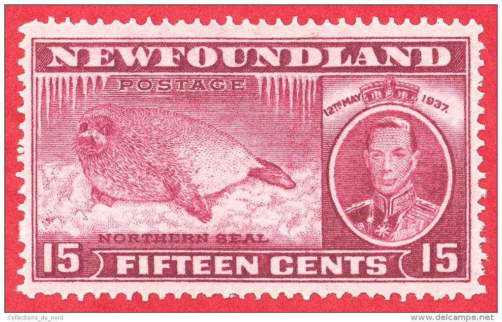 Newfoundland #  239 - 15 Cents - Mint - Dated  1937 - Harp Seal Pup /  Bébé Phoque - 1908-1947