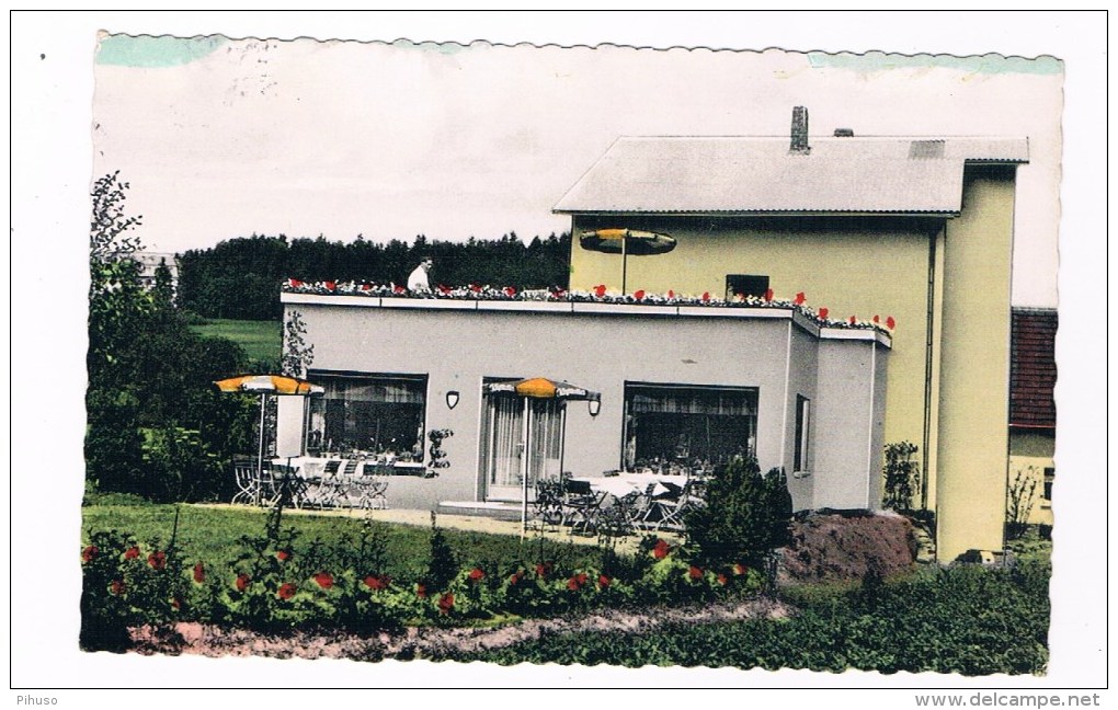 D4579    WALDERNBACH : Hotel Friesia - Limburg