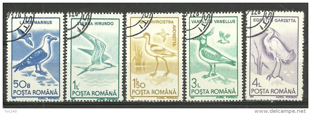 Romania ; 1991 Water Birds - Marine Web-footed Birds