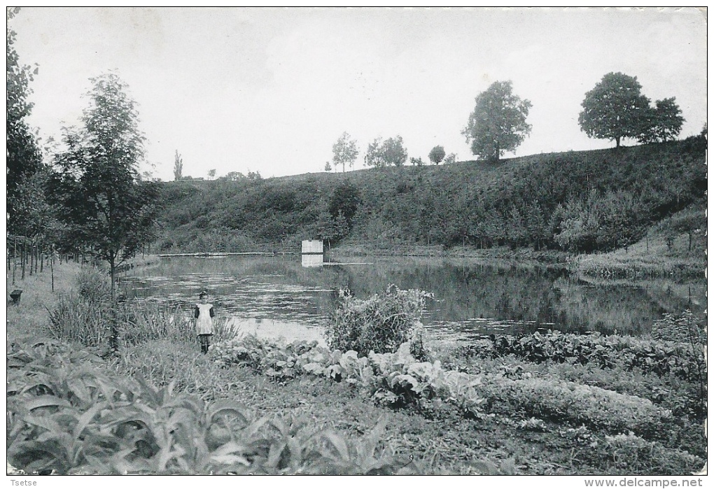 Sars-la-Buissière - L'Etang De Grignard - 1966  ( Voir Verso ) - Lobbes