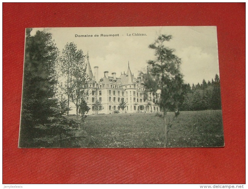 LIBIN  -  Le Château   -  Domaine De Roumont - Libin