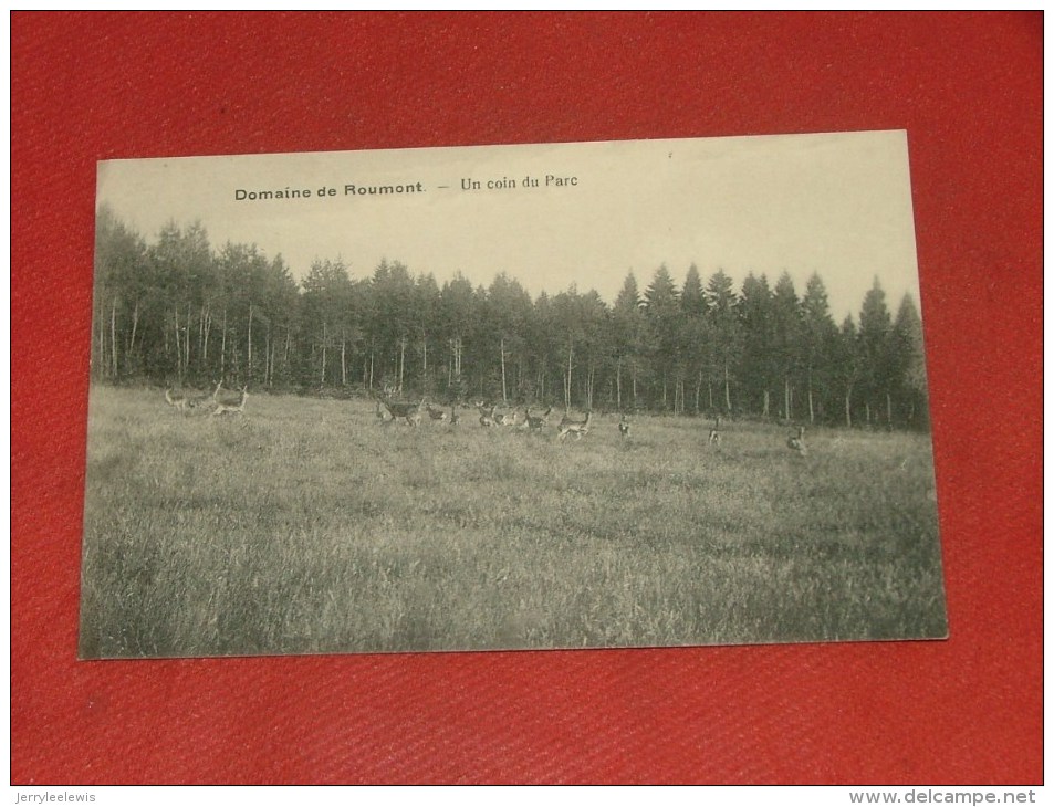 LIBIN  -  Un Coin Du Parc -  Chevreuils   -  Domaine De Roumont - Libin