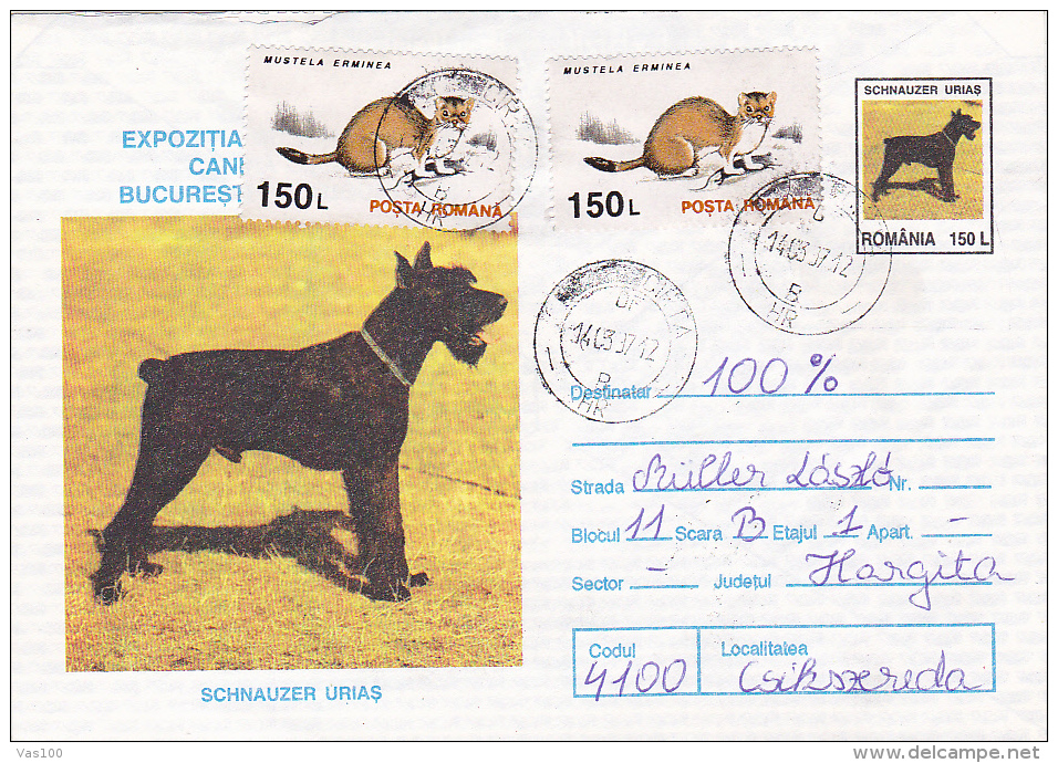 DOGS` EXHIBITION,  POSTAL STAIONERY, 1997, ROMANIA - Briefe U. Dokumente