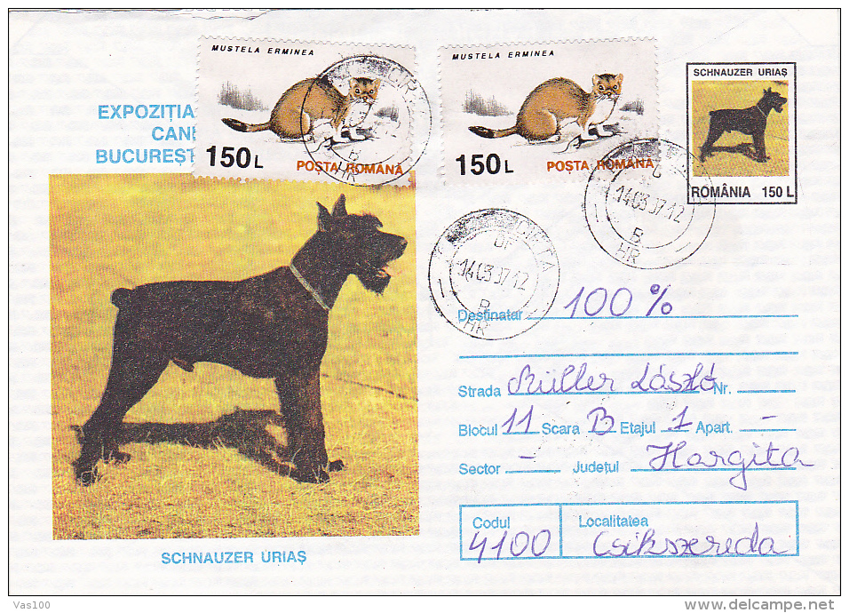 DOGS` EXHIBITION,  POSTAL STAIONERY, 1997, ROMANIA - Lettres & Documents