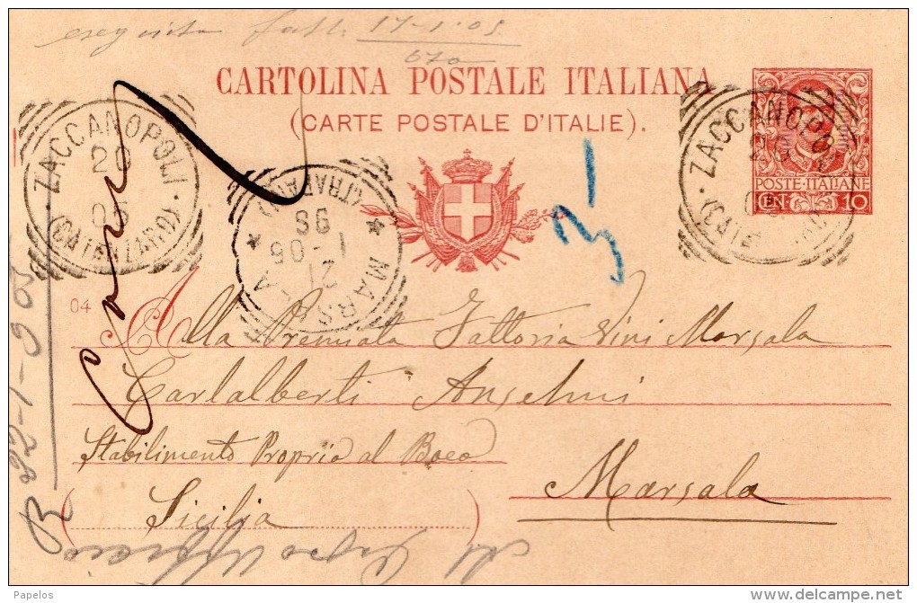 1905  CARTOLINA CON ANNULLO  ZACCANOPOLI   CATANZARO - Storia Postale