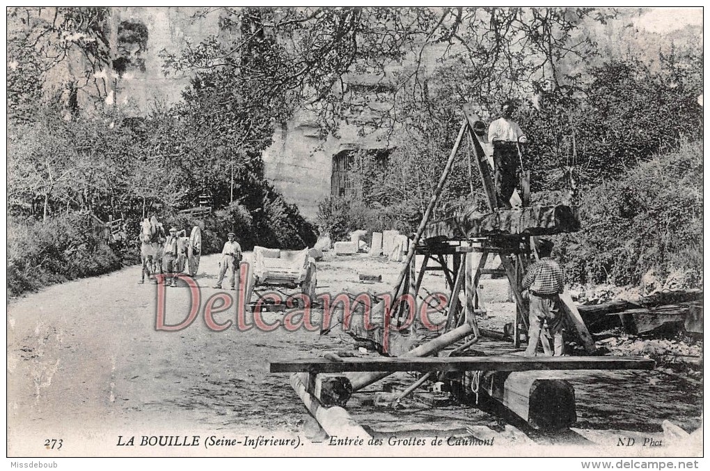 76 - LA BOUILLE - Entrée Des Grottes De Caumont  - Dos Vierge   2 Scans - La Bouille