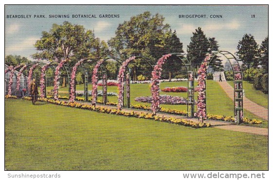 Beardsley Park Showing Botanical Gardens Bridgeport Connecticut 1950 - Bridgeport