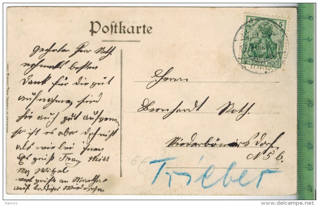 Neustadt An Der Orla, Gamsenteich - 1908 -Verlag: -------,   POSTKARTE Mit Frankatur, Mit Stempel   13.9.08 - Neustadt / Orla