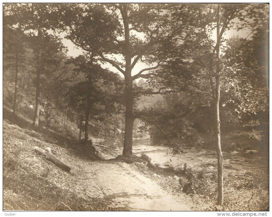 2 Anciennes Photos De Daverdisse 17cm X 22cm La Lesse Et Un Sous Bois, Frais D'envoi!!! - Daverdisse