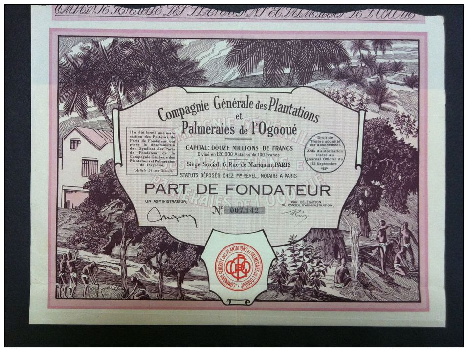 COMPAGNIE GENERAL DES PLANTATIONS ET PALMERAIES DE L´OGOOUE - Autres & Non Classés