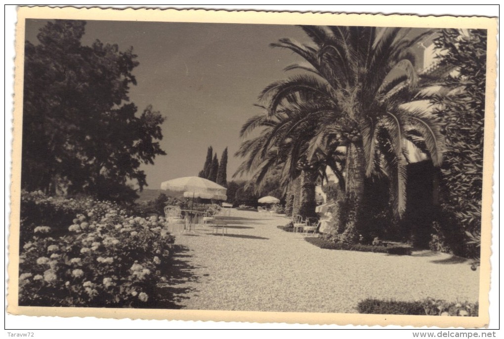 ANTIBES / NEPTUNE LA PROMENADE SUD - ROUTE DE LA BADINE - Autres & Non Classés