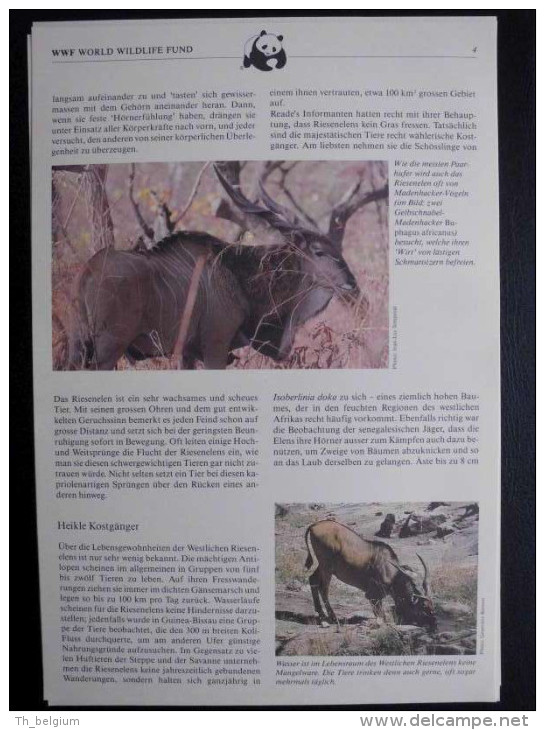 WWF Mali 1986 - Giant Eland - Album Pages (German) - Sonstige & Ohne Zuordnung