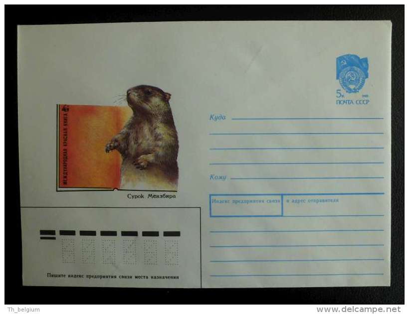 WWF USSR 1990 -  Red Book The Menzbier's Marmot (Marmota Menzbieri) - Storia Postale