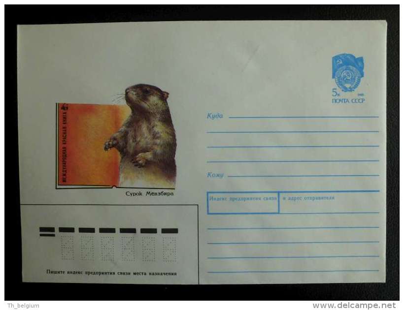 WWF USSR 1990 -  Red Book The Menzbier's Marmot (Marmota Menzbieri) - Lettres & Documents