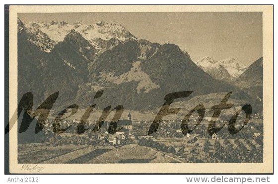 Bludenz Mit Bürserschlucht Vorarlberg Sw Um 1930 Panorama Fritz Jr. - Bludenz