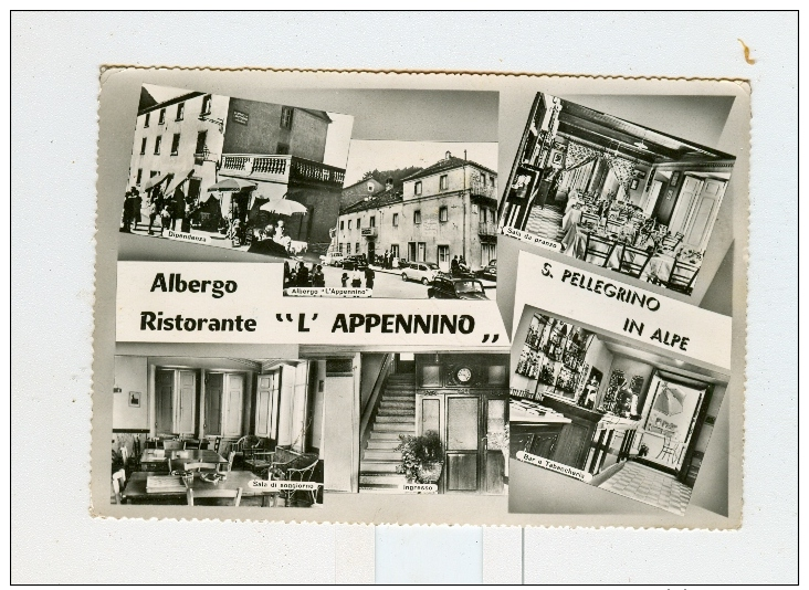 S.PELLEGRINO IN ALPE,Albergo Ristorante "L'APPENNINO",vedute-1958 - Lucca