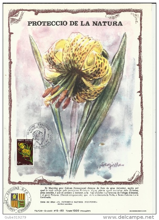 ANDORRA 1980 - GRANDE CARTE MAXIMUM  FLEUR-FLOWERS – NATURE: MARCOLIC GROC (LILIUM PYRENAICUM) AVEC 1 TIMBRE POSTE FRANÇ - Cartes-Maximum (CM)