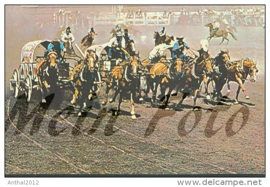 Chuckwagon Races, Exhibition & Stampede, Calgary, Alberta, Canada - Calgary