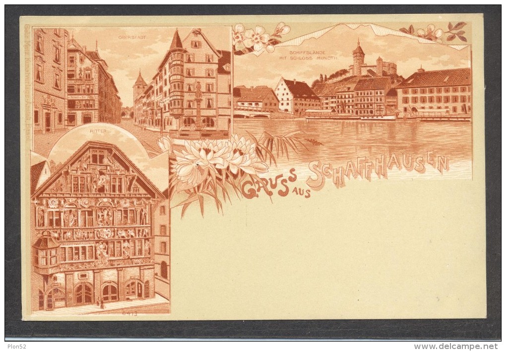 7813-GRUSS AUS SCHAFFHAUSEN-FP - Souvenir De...