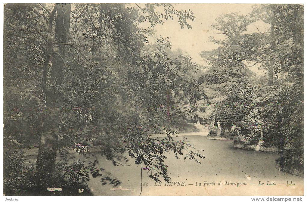 LE HAVRE           FORET DE MONTGEON - Forêt De Montgeon