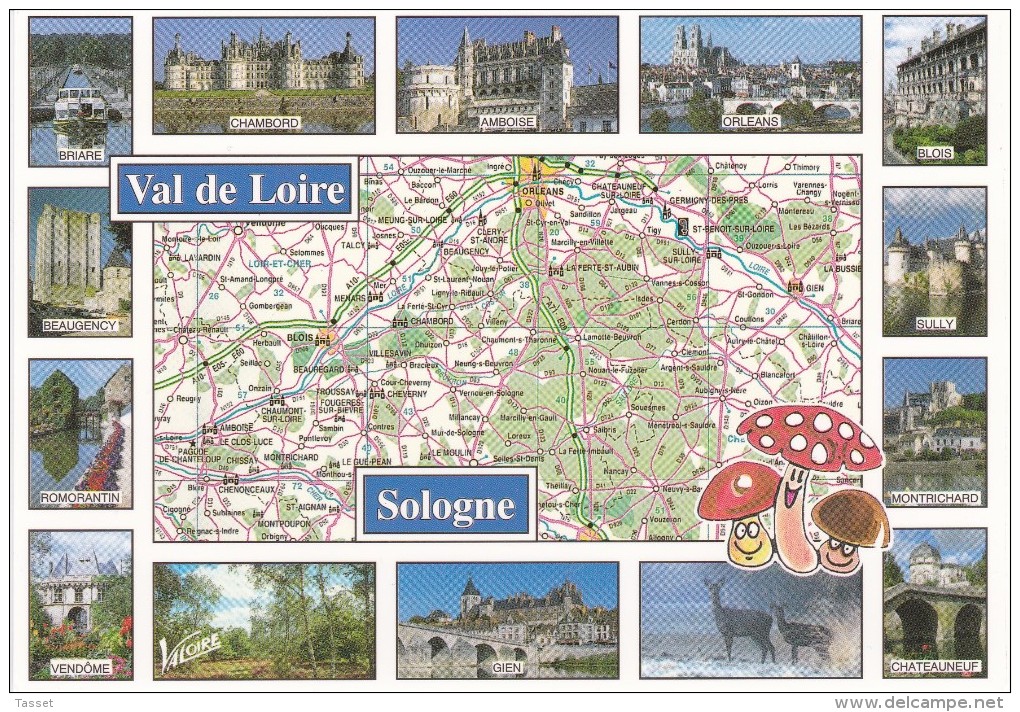 Carte Géographique De  Sologne , Champignons , Loiret , Loir Et Cher , Cher . Multi Vues Villes Et Châteaux - Mapas