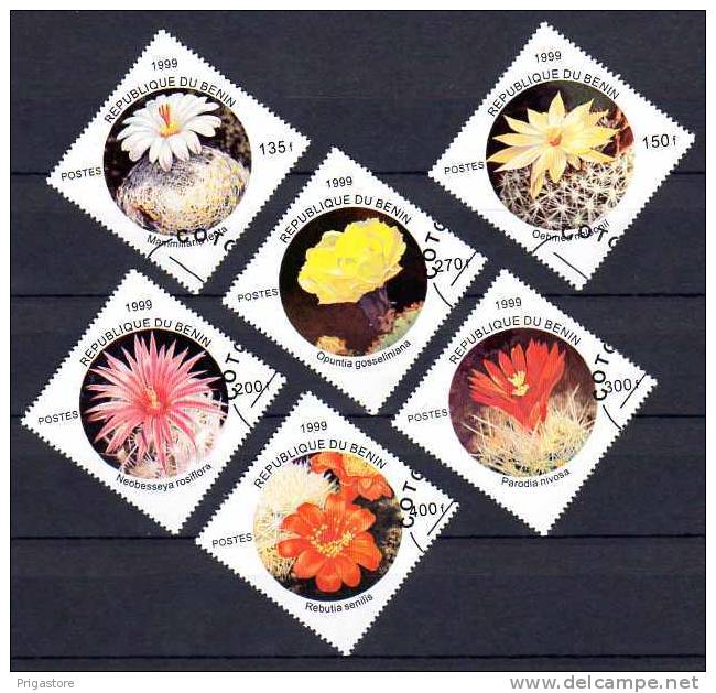 FLEURS Cactus Bénin Faso Série Complète De 6 Timbres Oblitérés - Sukkulenten