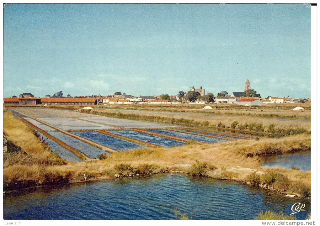 CP - PHOTO - ILE DE NOIRMOUTIER - MARAIS SALANTS VERS NOIRMOUTIER - 1898 - CAP - Ile De Noirmoutier