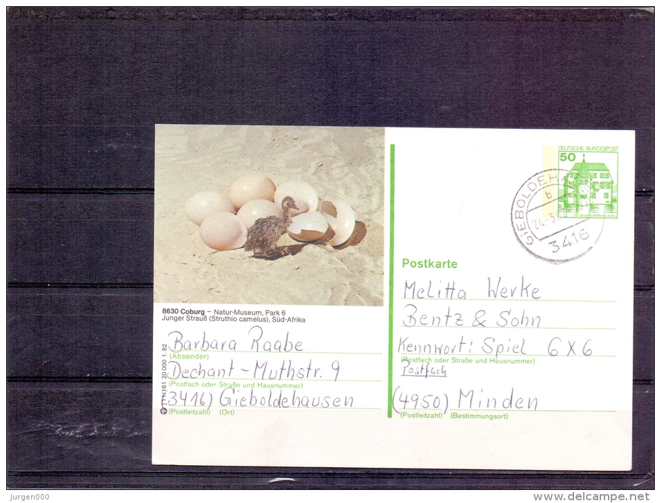 Deutsche Bundespost -  Natur Museum Coburg - Gieboldehausen 24/3/1992 (RM4287) - Struzzi