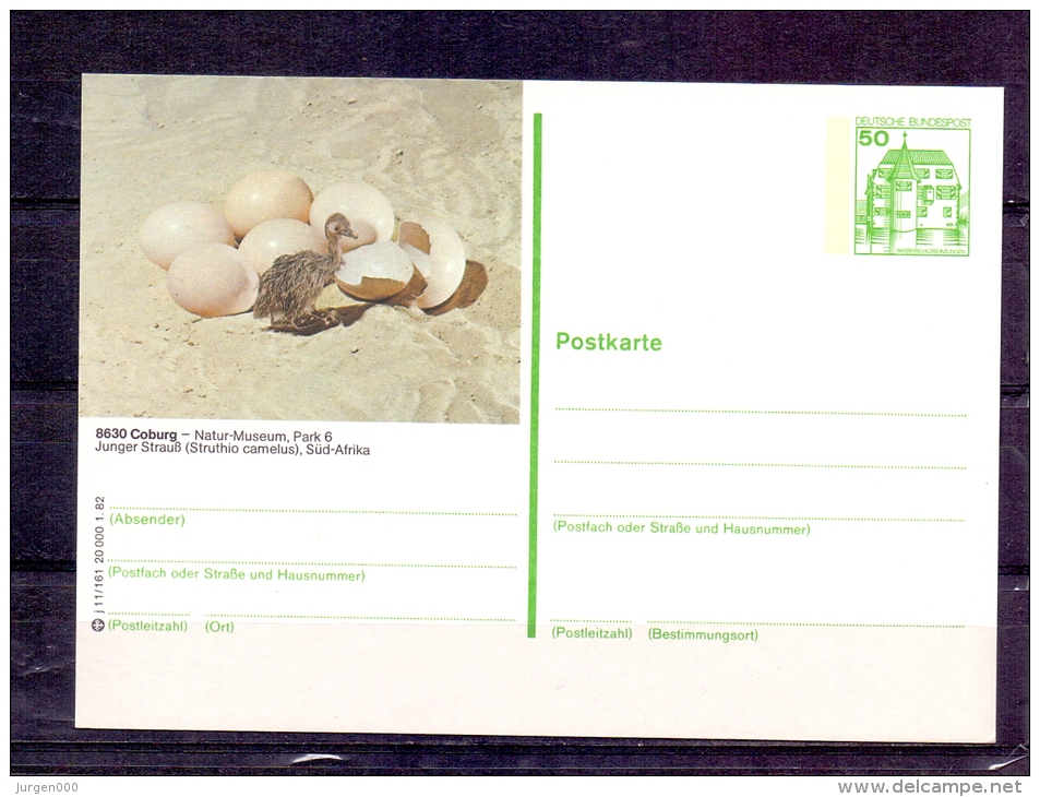 Deutsche Bundespost -  Natur Museum Coburg  (RM4288) - Autruches