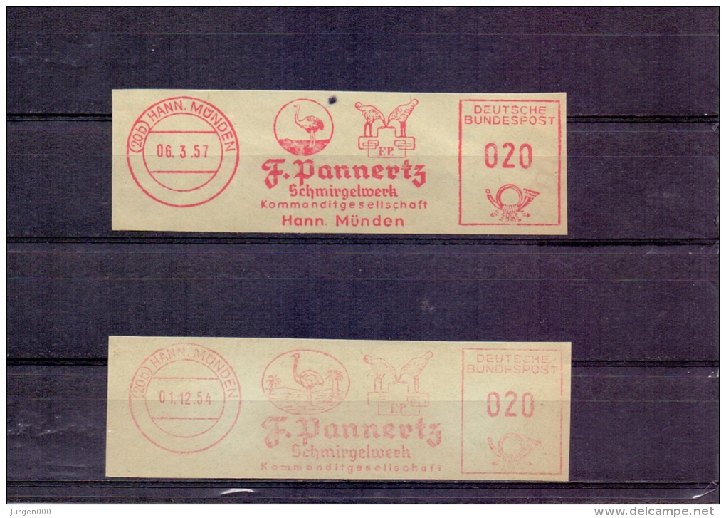 Deutsche Bundespost - F. Pannertz - Hann. Münden 1/12/54 En 6/3/57  (RM4290) - Autruches