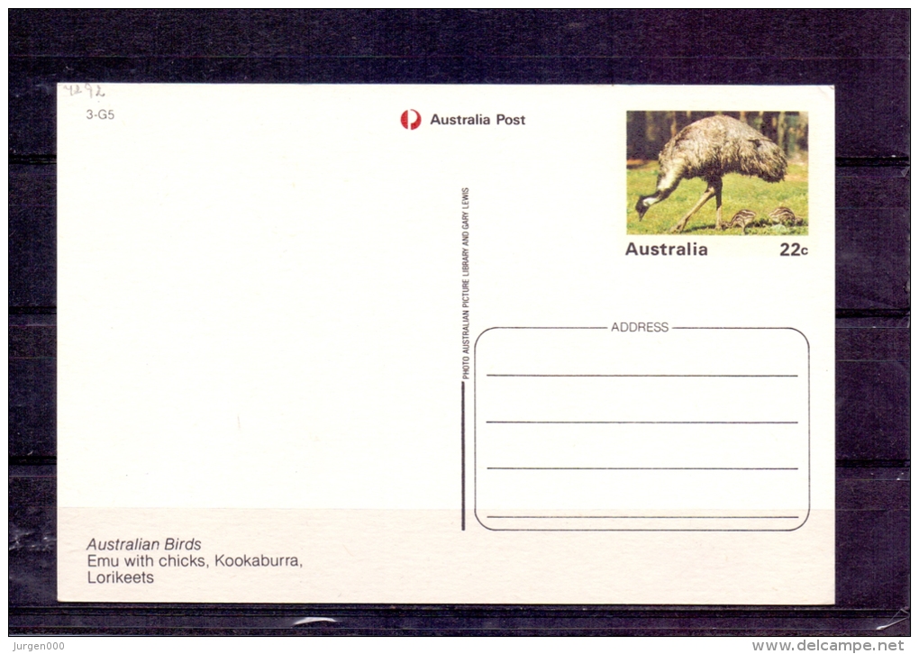 Australia -  Emu With Chicks  (RM4292) - Autruches