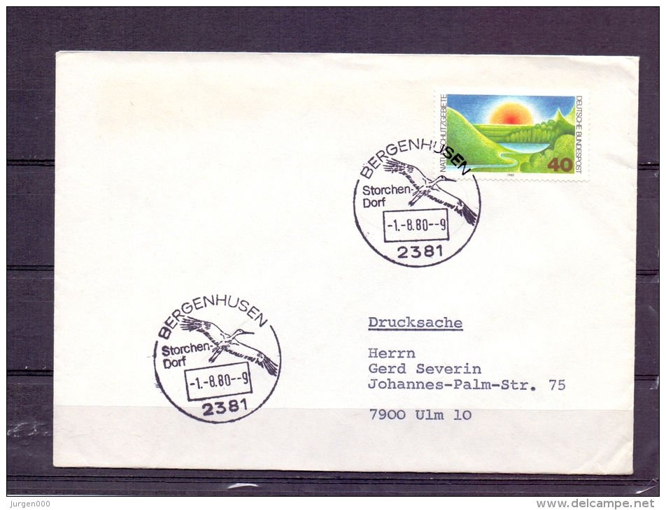 Deutsche Bundespost -Storchendorf Bergenhusen 1/8/1980  (RM4333) - Storchenvögel