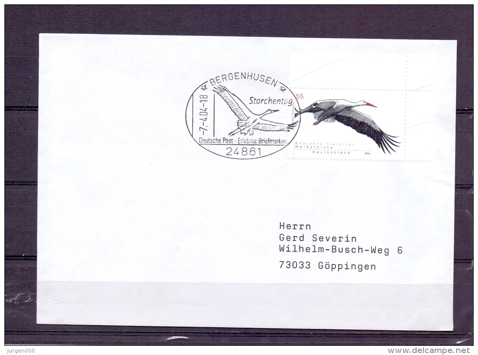 Deutschland- Storchentag - Bergenhusen 7/4/2004 (RM4336) - Storchenvögel