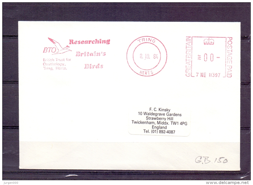 Great Britain -  British Trust For Ornithology - Tring, Herts 8/10/1984  (RM4382) - Pélicans