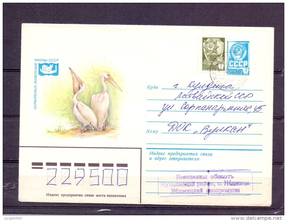 Noyta CCCP -    (RM4402) - Pelicans