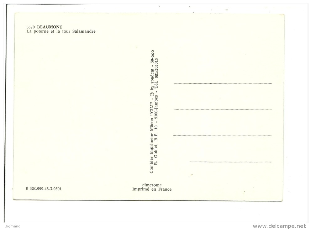 Beaumont La Poterne Et La Tour Salamandre - Evere