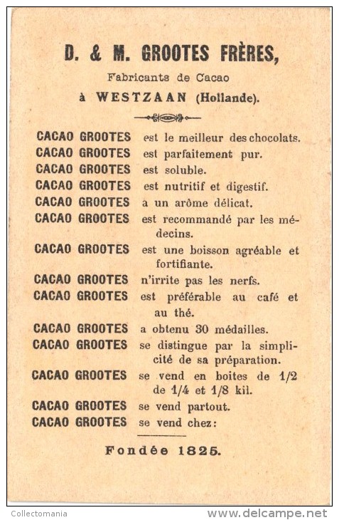 1 Chromo Cacao Chokolade Chocolat   -  D. & M. GROOTES Rond 1880 à 1890 Tresling & Hof Lithografie - Andere & Zonder Classificatie