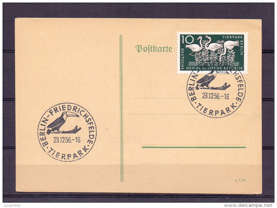 D.D.R. - Tierpark - Friedrichsfeld 28/12/1956  (RM4798) - Pics & Grimpeurs