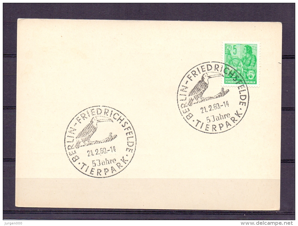 D.D.R. - 5 Jahre Tierpark  -  Berlin - Friedrichsfeld  21/2/1960  (RM4799) - Piciformes (pájaros Carpinteros)