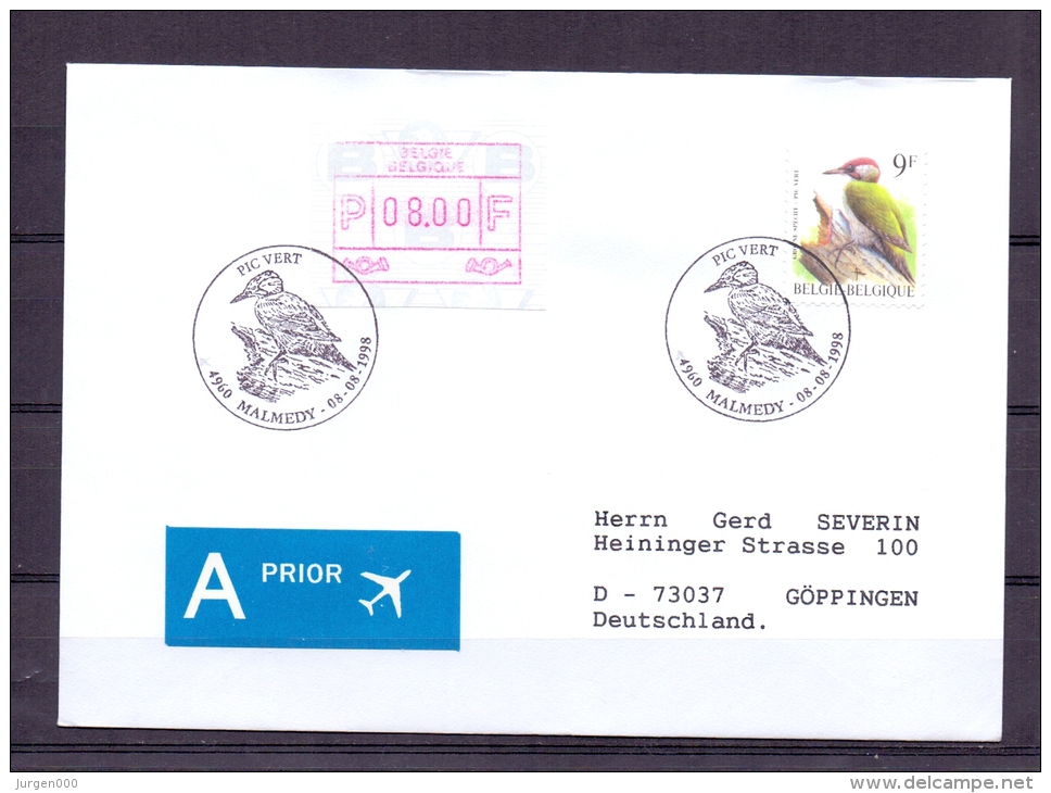 België - Pic Vert - Malmedy 8/8/1998   (RM4802) - Spechten En Klimvogels