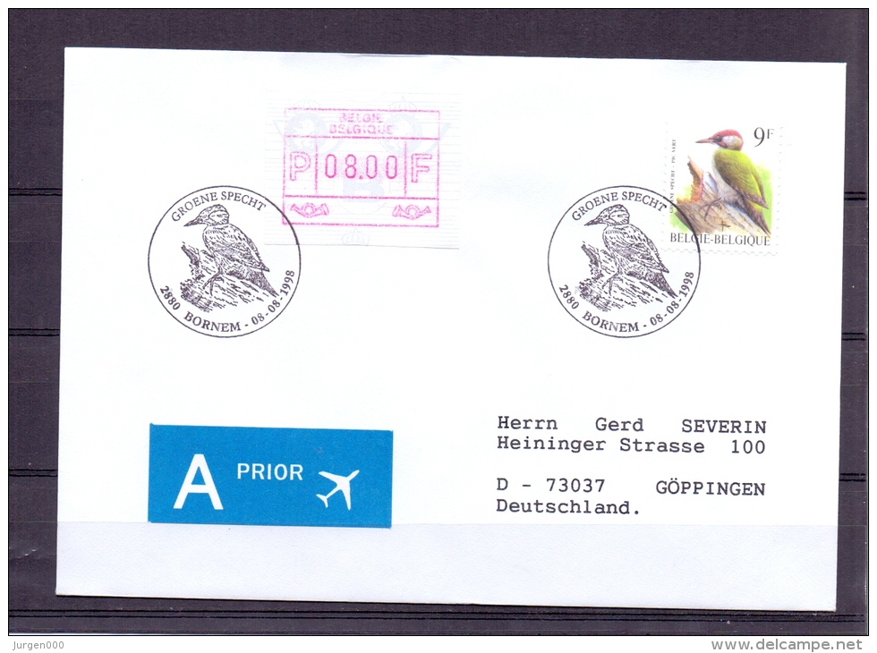 België - Groene Specht - Bornem 8/8/1998   (RM4803) - Piciformes (pájaros Carpinteros)