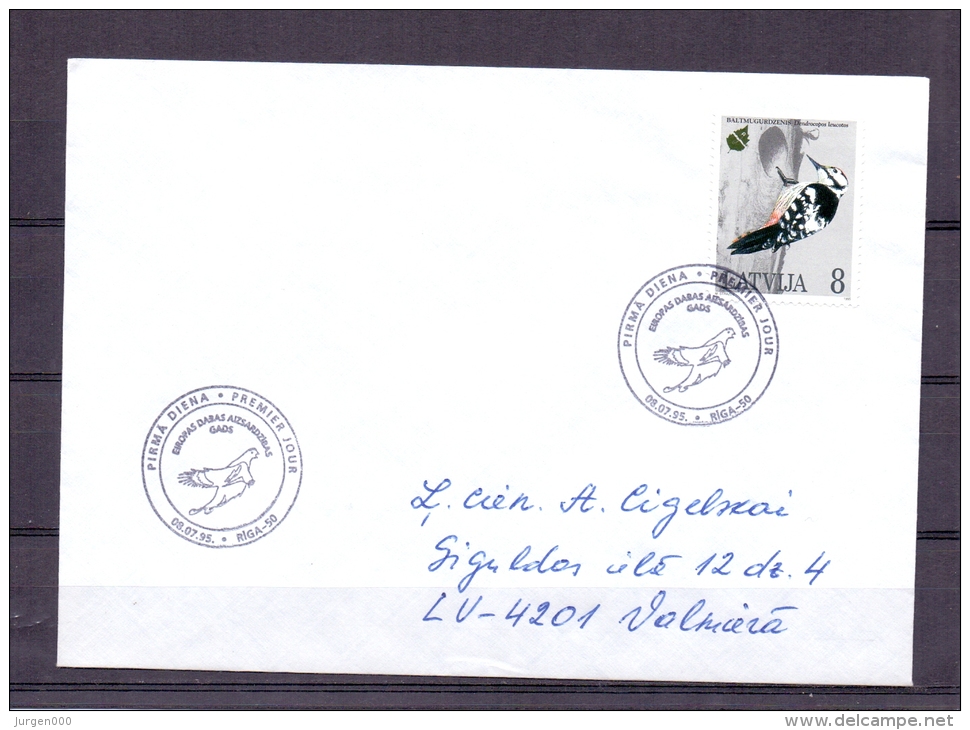 Latvija - Dendrocopos  Leucotos - Riga 8/7/1995  (RM4809) - Specht- & Bartvögel